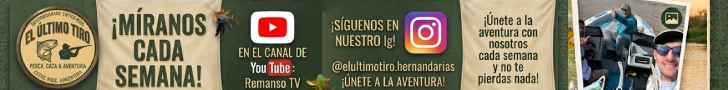 spot_img